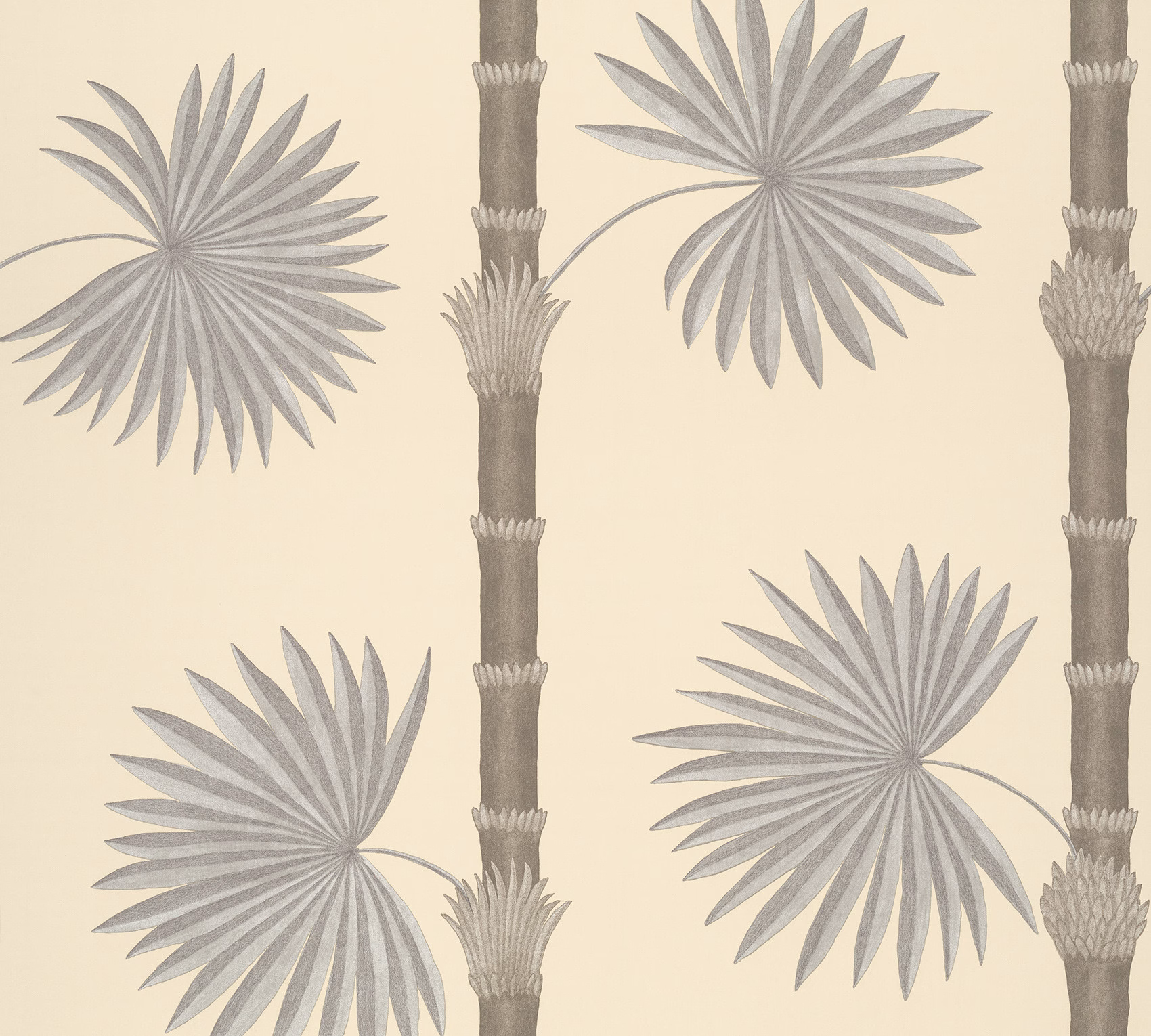Обои Paint & Paper Library Botany Hardy Palm Canvas III 0360HACANVA